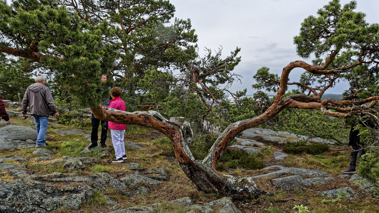 20220531 074848~Mariehamn~Aland Islands~Finland